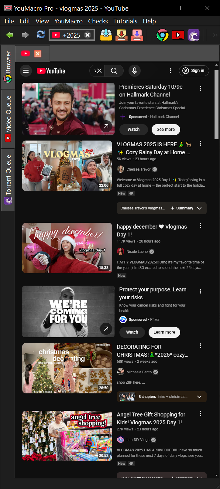 Video Downloader Main Screen
